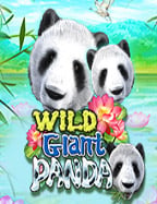 เกมที่เล่นแล้วได้เงินจริง เติมฬา ทดลองเล่นสนุกแน่!